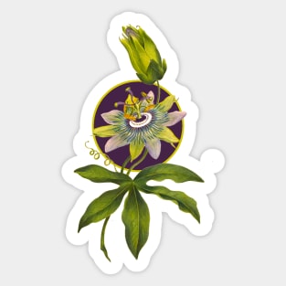 Passion fruit flower Sticker